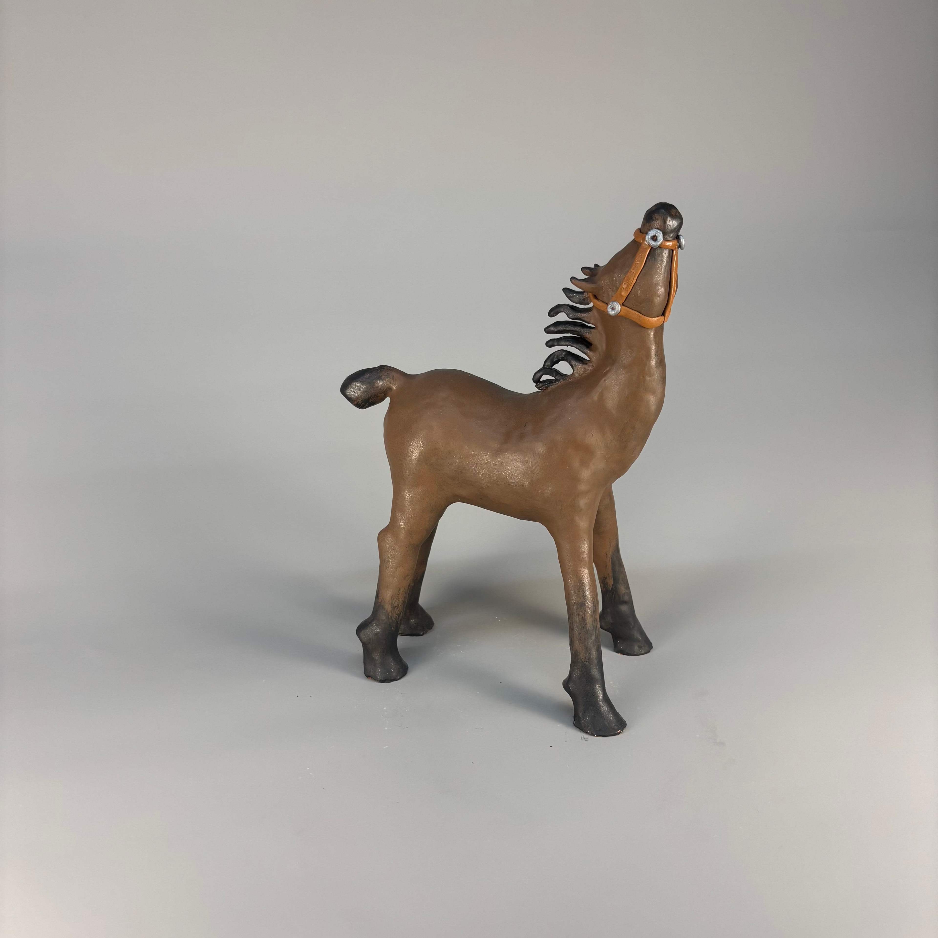 Wild Foal
